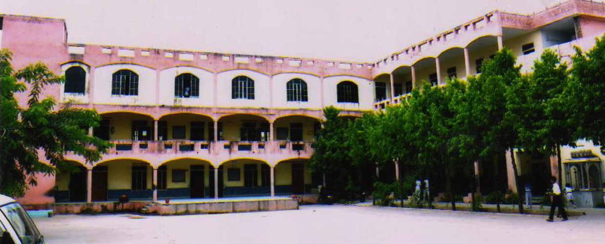 A N Public School Chomu Jaipur